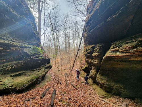 Two children explore a rocky canyon surrounded by trees and fallen leaves on a cloudy day.