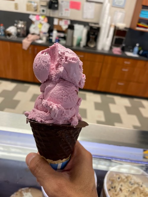 A hand holding a chocolate cone topped with two scoops of purple ice cream, with a café background.
