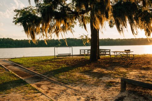 A serene lakeside scene with a tree draped in Spanish moss, a swing, and picnic tables under a warm sunset.
