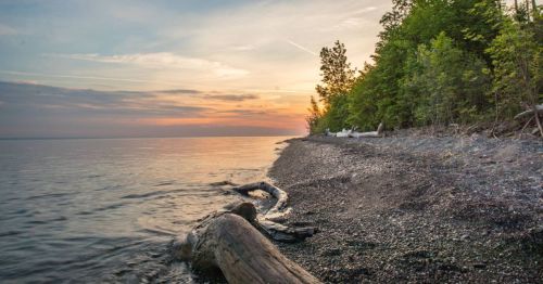 A serene lakeside view at sunset, featuring a sandy shore, driftwood, and trees along the water's edge.