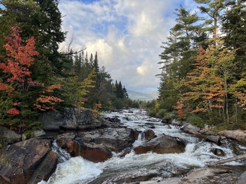 A scenic river flows through rocky terrain, surrounded by trees with autumn foliage under a cloudy sky.