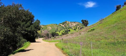 A dirt path winds through green hills under a clear blue sky, with trees lining the trail.