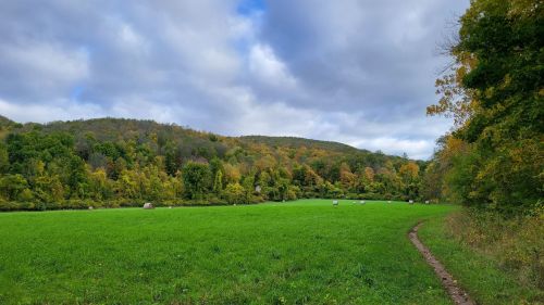 A lush green field bordered by trees in autumn colors, with a cloudy sky overhead and hay bales scattered in the distance.