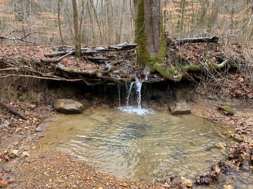 A small waterfall cascades over rocks into a clear pool, surrounded by autumn leaves and bare trees in a forest.