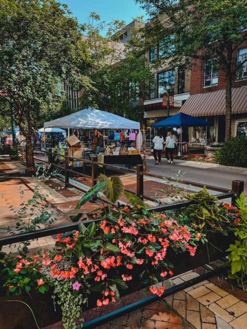 A vibrant street scene with a market tent, shoppers, and colorful flowers lining the walkway.