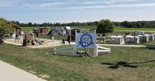 A playground with various play structures, a sandbox, and a sign for "Mooville" in a grassy area under a blue sky.