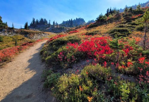 A winding dirt path through vibrant red foliage and green shrubs, set against a backdrop of mountains and blue sky.