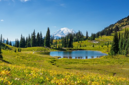 A serene landscape featuring a clear pond surrounded by lush greenery and tall trees, with a snow-capped mountain in the background.