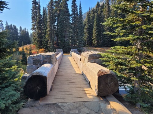 A wooden bridge made of logs spans a forested area, surrounded by tall evergreen trees and autumn foliage.