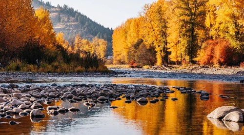 A serene river scene with smooth stones, surrounded by vibrant autumn trees reflecting in the water.