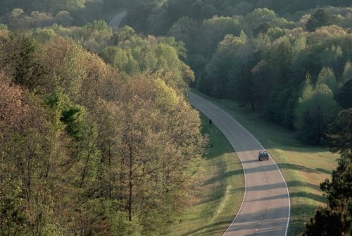 A winding road through lush green trees under soft sunlight, with a car driving along the scenic route.