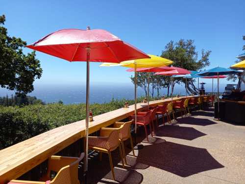 Colorful umbrellas shade a row of outdoor seating overlooking a scenic view of the ocean and distant hills.