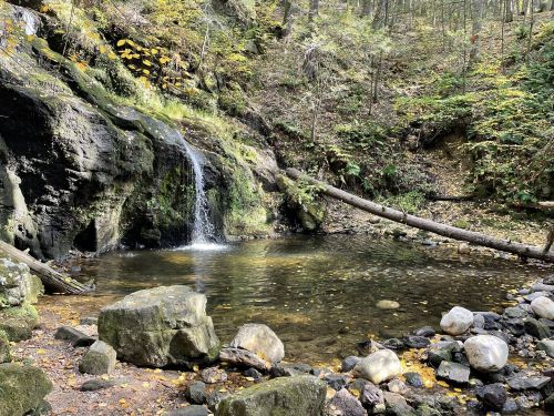 A serene forest scene featuring a small waterfall cascading into a clear pool, surrounded by rocks and autumn foliage.