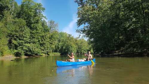 Two people paddle a blue canoe on a calm river surrounded by lush green trees under a clear blue sky.