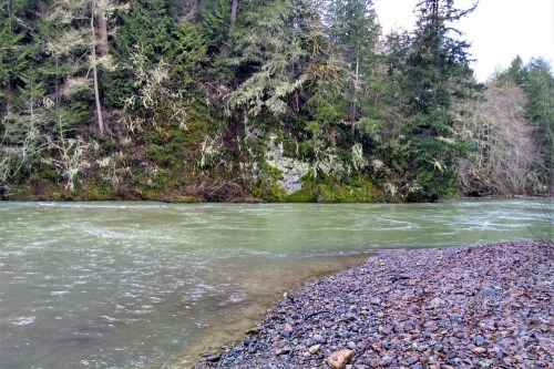 A serene river flows past a rocky shore, surrounded by lush green trees and moss-covered cliffs.