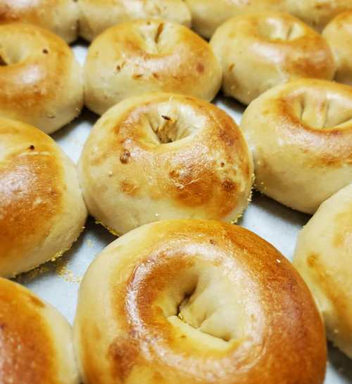 Freshly baked bagels arranged closely together, showcasing their golden-brown tops and soft, round shapes.