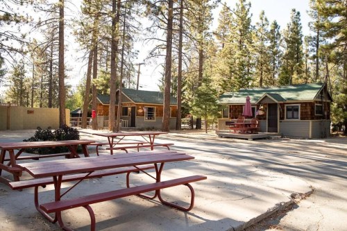 Two rustic cabins surrounded by tall trees, with a picnic area featuring red tables in a serene outdoor setting.