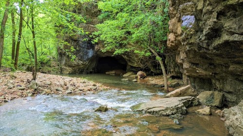 A serene forest scene featuring a rocky cave entrance beside a flowing stream, surrounded by lush green trees.