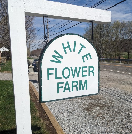 Sign for "White Flower Farm" hanging from a post, with a gravel road and trees in the background.