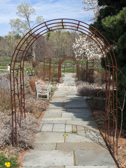 A stone pathway lined with metal arches and a wooden bench, surrounded by blooming plants and trees.