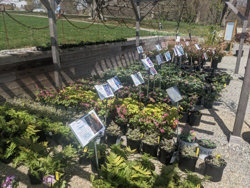 A garden display featuring various potted plants and informational signs under a wooden structure on a sunny day.