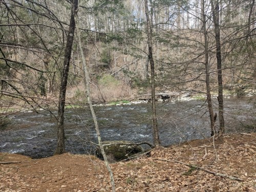 A serene river flows through a wooded area, surrounded by trees and rocky banks, under a clear sky.