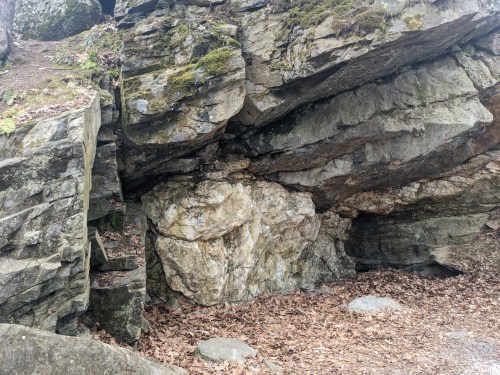 A rocky outcrop with large boulders and scattered leaves on the ground, surrounded by a natural forest setting.