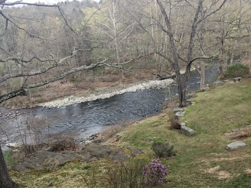A serene river flows through a wooded area, surrounded by trees and rocky banks, with spring foliage beginning to bloom.