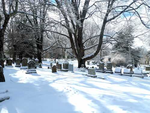 A snowy cemetery scene with gravestones and bare trees under a clear blue sky.