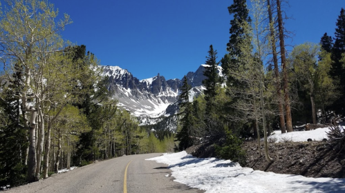 A scenic mountain road lined with trees, snow patches, and towering peaks under a clear blue sky.