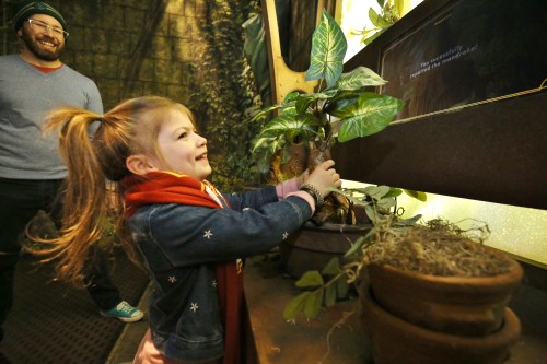 A young girl joyfully interacts with a plant display, while a smiling adult watches in a vibrant, nature-themed setting.