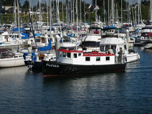 A black and white boat named "Plover" docked among various sailboats in a marina.