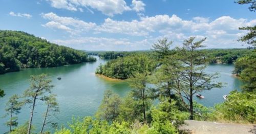 A scenic view of a lake surrounded by lush green trees and hills under a bright blue sky with fluffy clouds.