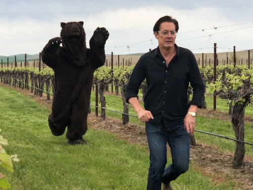 A man in a black shirt runs through a vineyard while a person in a bear costume chases him.