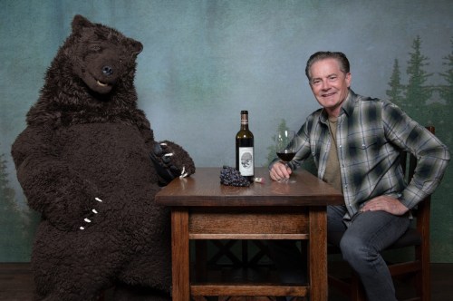 A man in a plaid shirt sits at a table with a bear in a costume, both enjoying wine and grapes in a rustic setting.