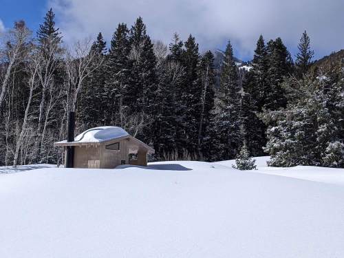 A small cabin partially buried in snow, surrounded by tall trees and a cloudy sky.