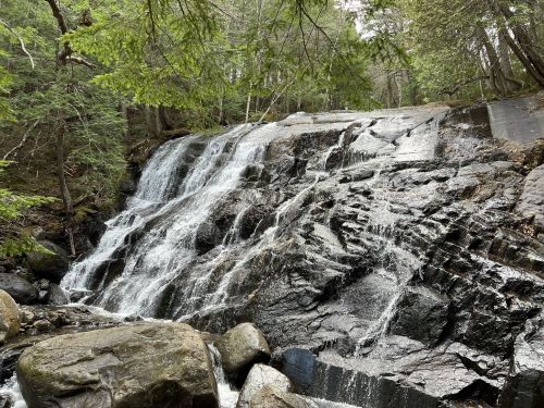 A serene waterfall cascading over rocky terrain, surrounded by lush green trees in a tranquil forest setting.