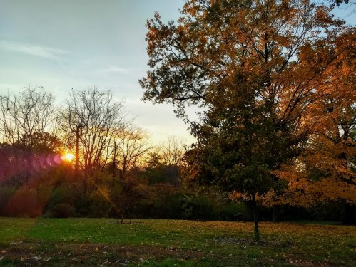 A serene autumn landscape with a sunset, featuring colorful trees and fallen leaves on the ground.