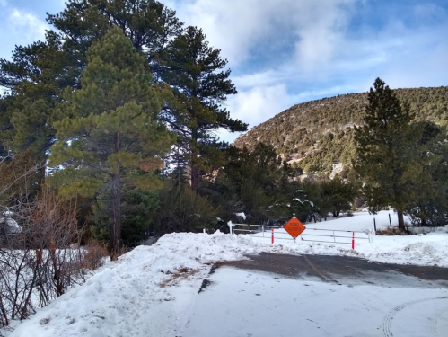 Snow-covered road with a closed sign, surrounded by tall pine trees and a mountainous backdrop under a blue sky.