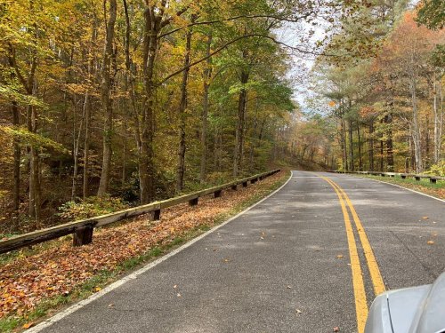 A winding road through a colorful autumn forest with fallen leaves and trees in vibrant shades of orange and yellow.