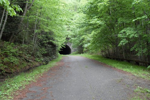 A tree-lined path leads to a dark tunnel, surrounded by lush green foliage and a quiet, serene atmosphere.