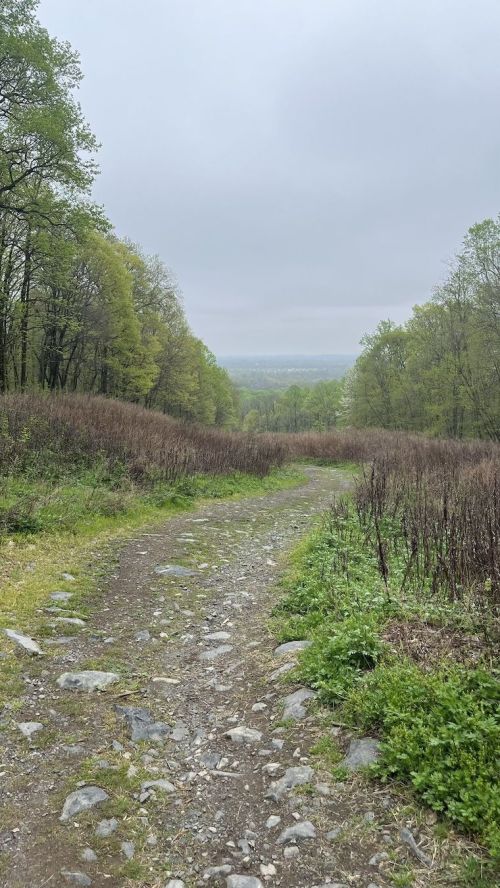 A rocky path winds through a green forest, leading to a distant view under a cloudy sky.