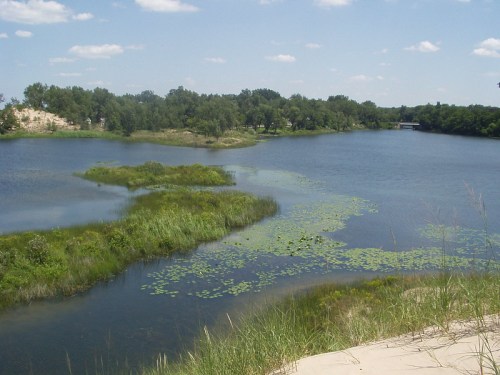 A serene landscape featuring a calm river surrounded by lush greenery and patches of lily pads under a blue sky.