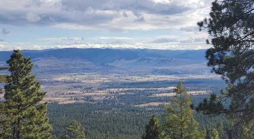 A panoramic view of a valley surrounded by mountains, with green trees in the foreground and a cloudy sky above.