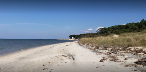 A serene beach scene with soft sand, gentle waves, and lush greenery in the background under a clear blue sky.