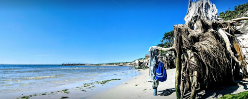 A beach scene with a person walking near driftwood and seaweed under a clear blue sky.