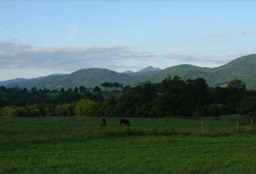 A serene landscape featuring green fields, grazing cows, and rolling mountains under a clear blue sky.