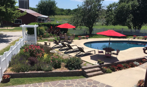 A sunny backyard with a pool, lounge chairs, red umbrellas, and colorful flowers, surrounded by a white fence and greenery.