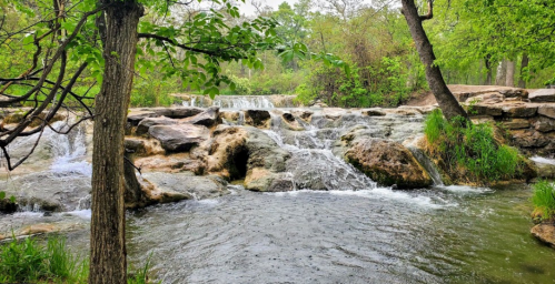 A serene waterfall cascades over rocks, surrounded by lush greenery and trees in a peaceful natural setting.