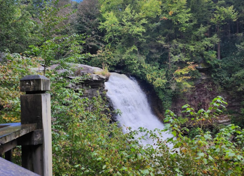A serene waterfall cascades over rocks, surrounded by lush greenery and trees in a tranquil natural setting.